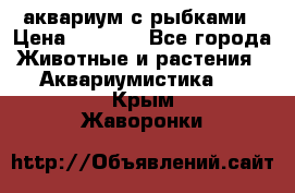 аквариум с рыбками › Цена ­ 1 000 - Все города Животные и растения » Аквариумистика   . Крым,Жаворонки